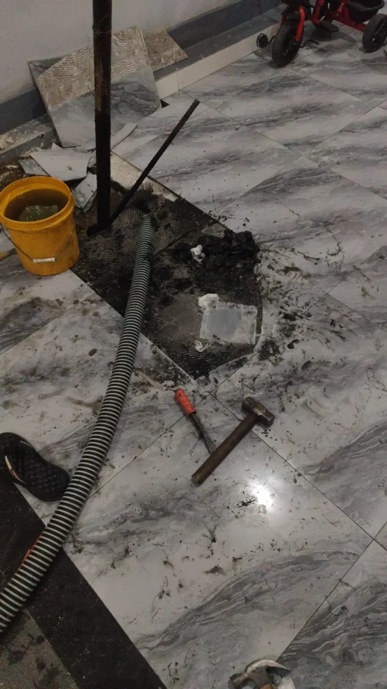 Sedot WC Jakarta Utara